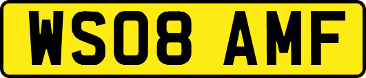 WS08AMF