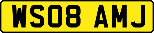 WS08AMJ