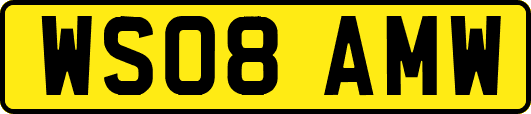 WS08AMW