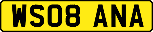 WS08ANA