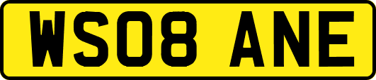 WS08ANE