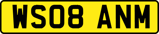 WS08ANM