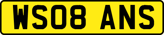 WS08ANS