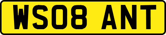 WS08ANT