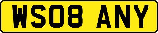 WS08ANY