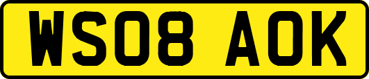 WS08AOK