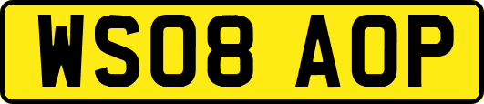 WS08AOP