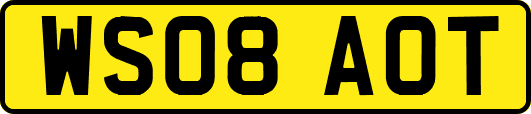 WS08AOT