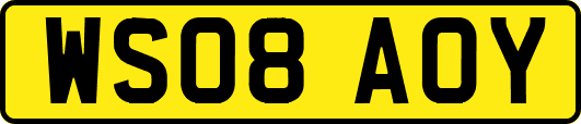 WS08AOY