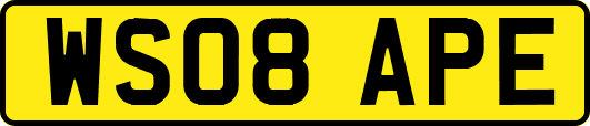 WS08APE