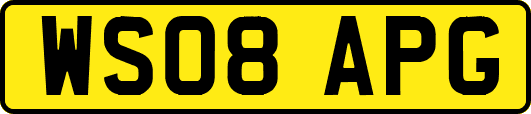WS08APG