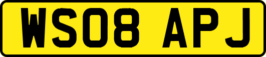 WS08APJ