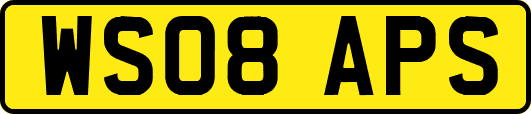 WS08APS