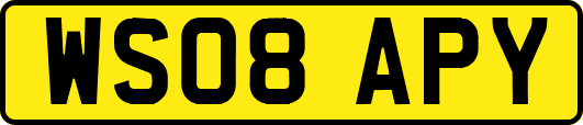 WS08APY