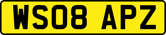 WS08APZ