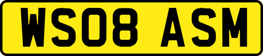 WS08ASM