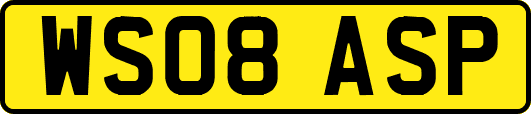 WS08ASP