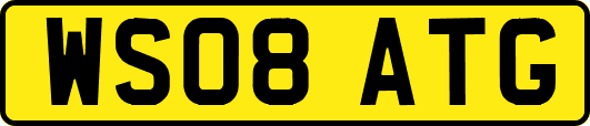 WS08ATG