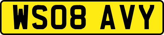 WS08AVY
