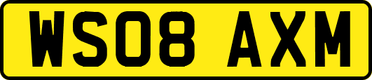 WS08AXM
