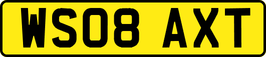 WS08AXT