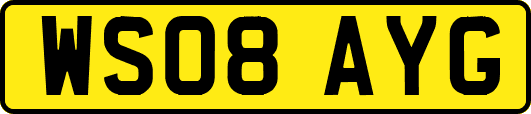WS08AYG