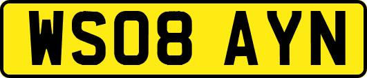 WS08AYN