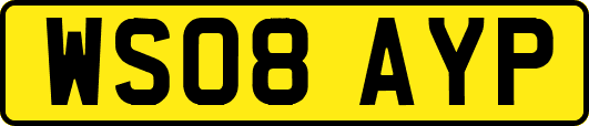 WS08AYP