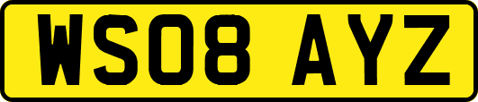 WS08AYZ