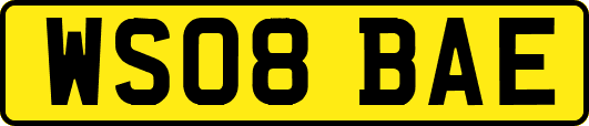WS08BAE