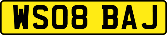 WS08BAJ