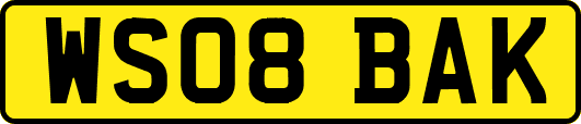 WS08BAK
