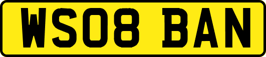 WS08BAN