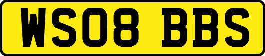 WS08BBS