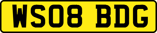 WS08BDG