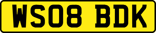WS08BDK