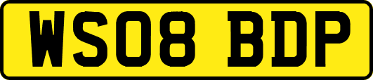 WS08BDP