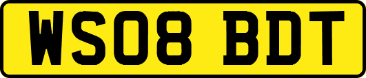 WS08BDT
