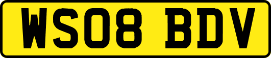 WS08BDV
