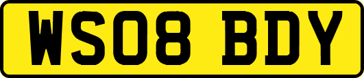 WS08BDY