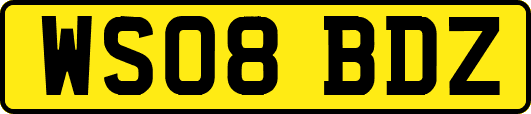 WS08BDZ