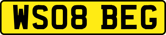 WS08BEG