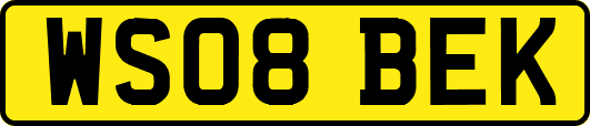 WS08BEK