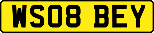 WS08BEY