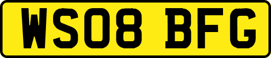WS08BFG