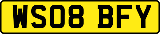 WS08BFY