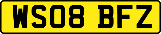 WS08BFZ