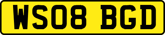 WS08BGD