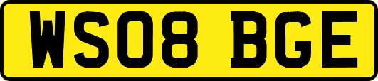 WS08BGE
