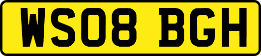 WS08BGH